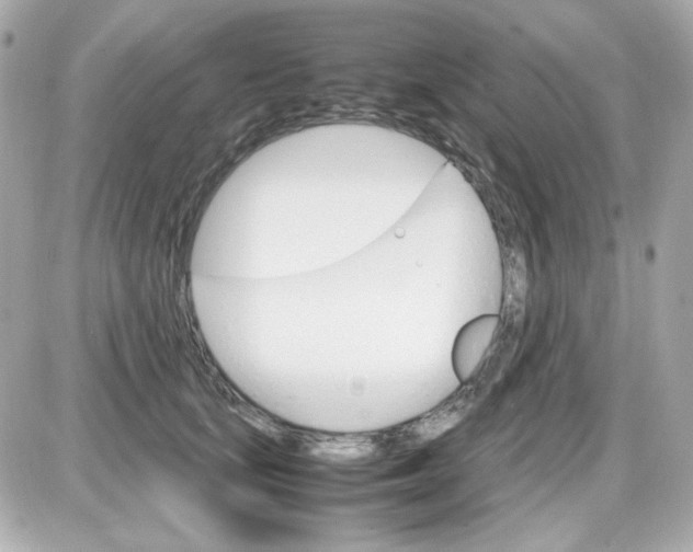 X0000087520659200705112007