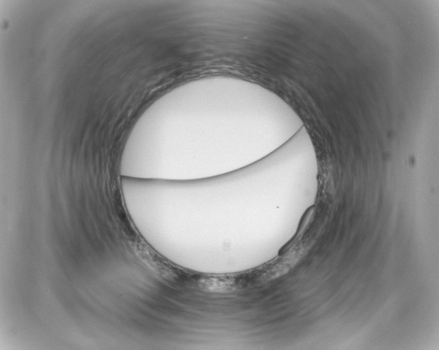 X0000087520660200705112007