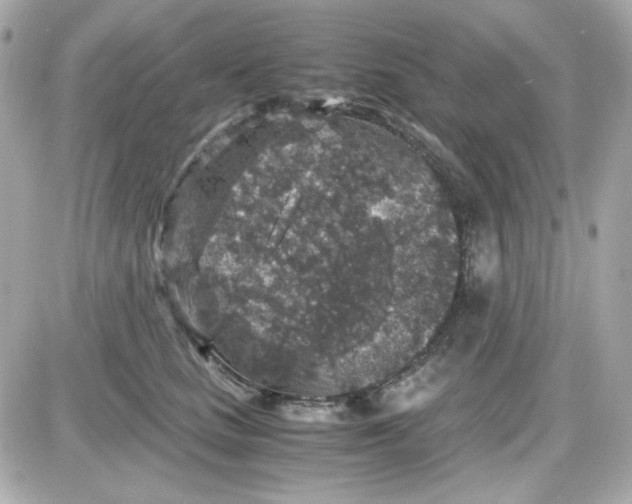 X0000087520661200705112007