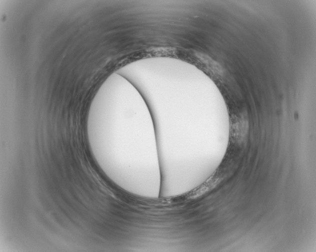 X0000087520662200705112007