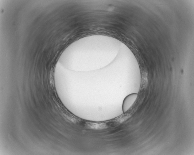 X0000087520663200705112007