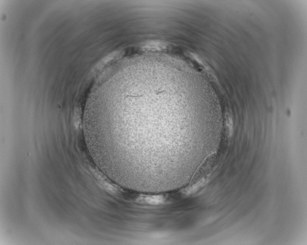 X0000087520665200705112008