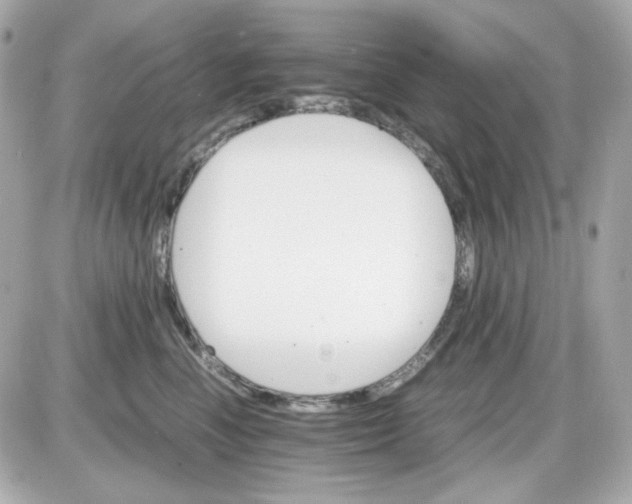 X0000087520666200705112008