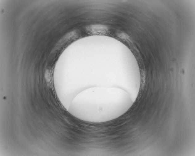 X0000087520667200705112008