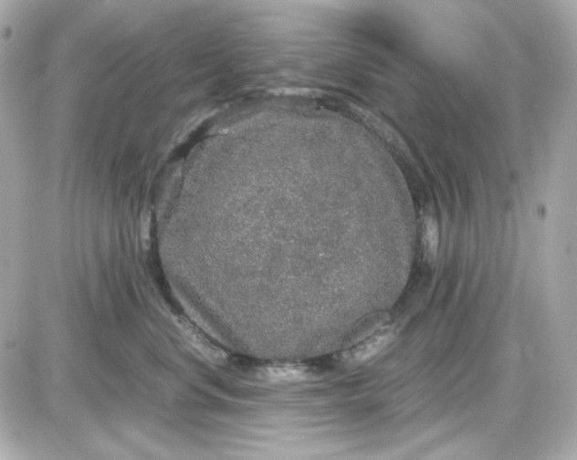 X0000087520668200705112008