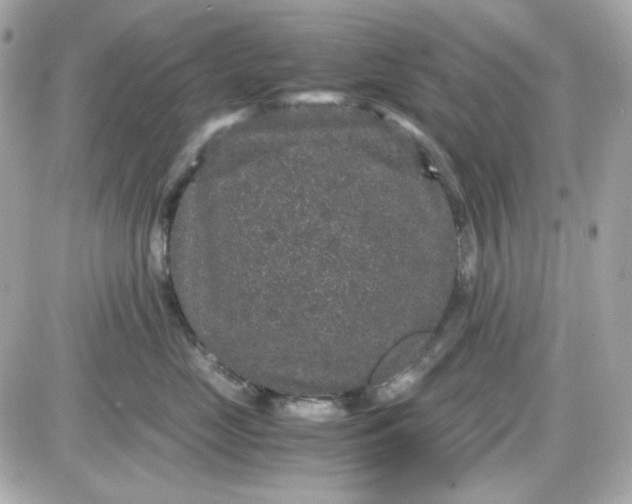 X0000087520669200705112008