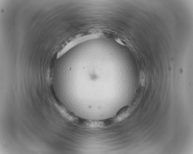 X0000087520670200705112008