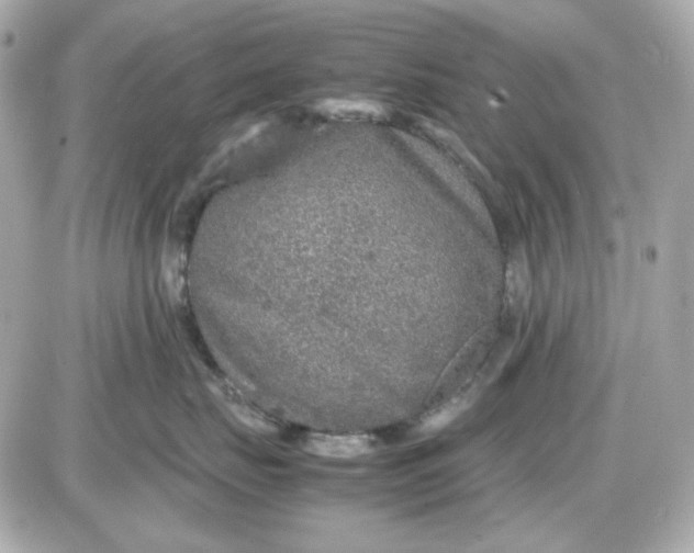 X0000087520671200705112008