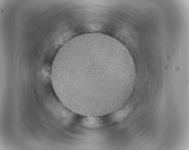 X0000087520672200705112008