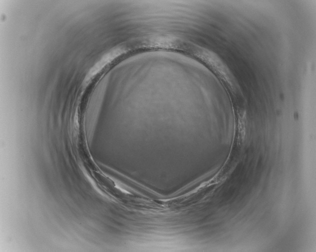 X0000087520674200705112007