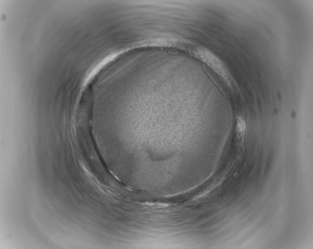 X0000087520676200705112007