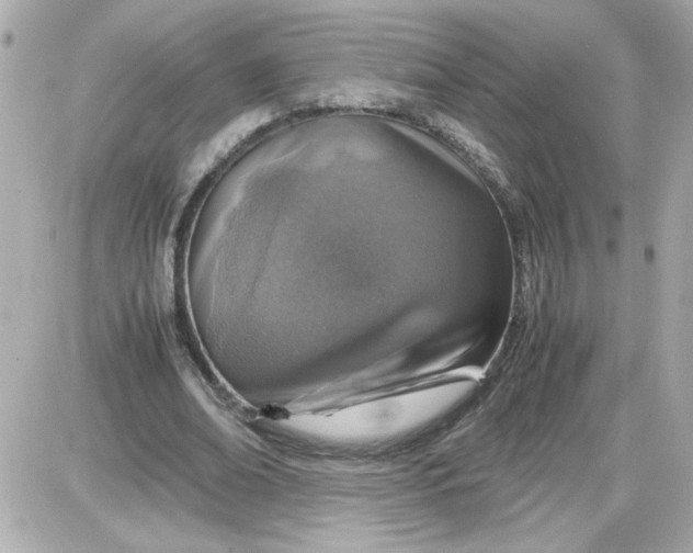 X0000087520678200705112007