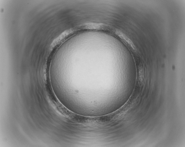 X0000087520682200705112007