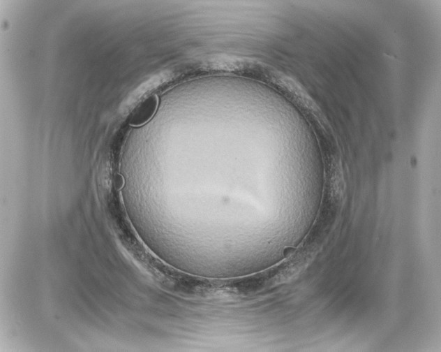 X0000087520683200705112007