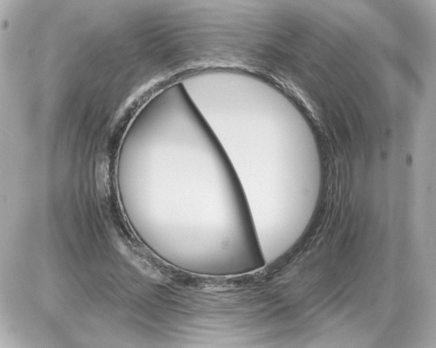 X0000087520684200705112007