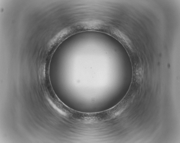 X0000087520686200705112007