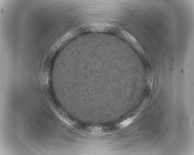 X0000087520687200705112007