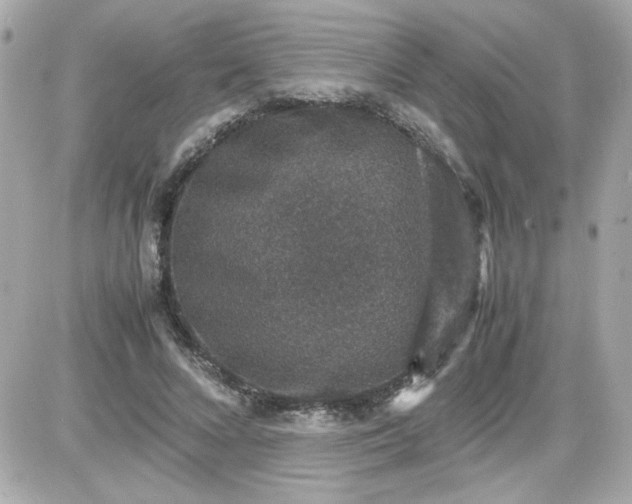 X0000087520688200705112007