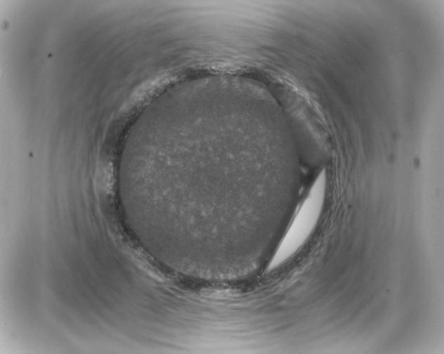 X0000087520689200705112007