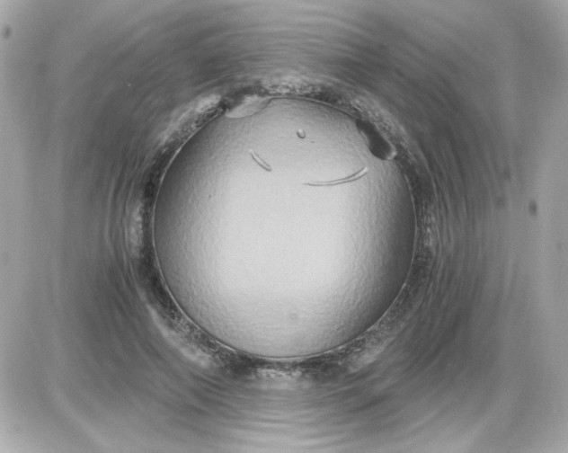 X0000087520690200705112007