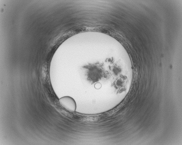 X0000087520691200705112007