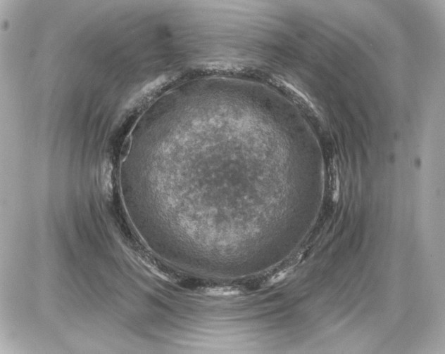 X0000087520692200705112007