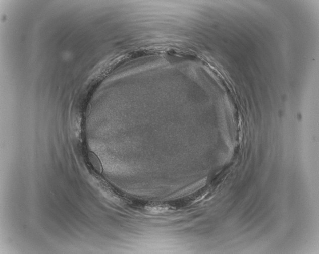 X0000087520693200705112007