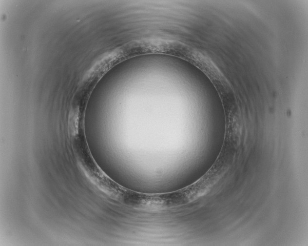 X0000087520694200705112007