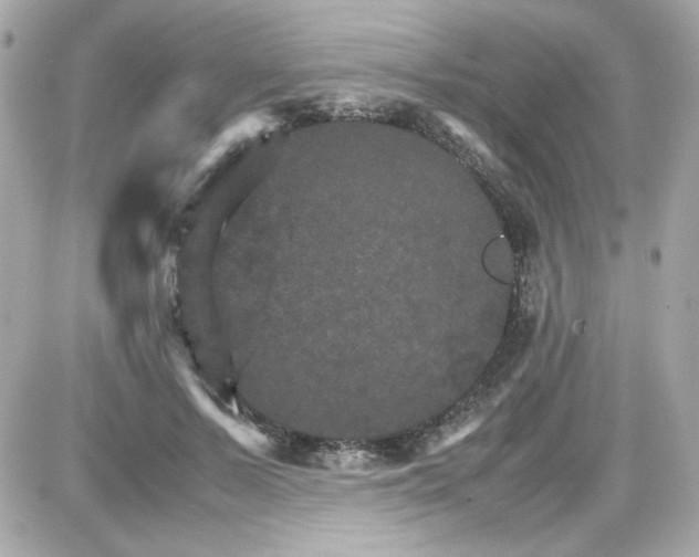 X0000087520695200705112006