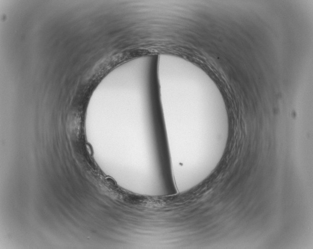 X0000087520697200705112006