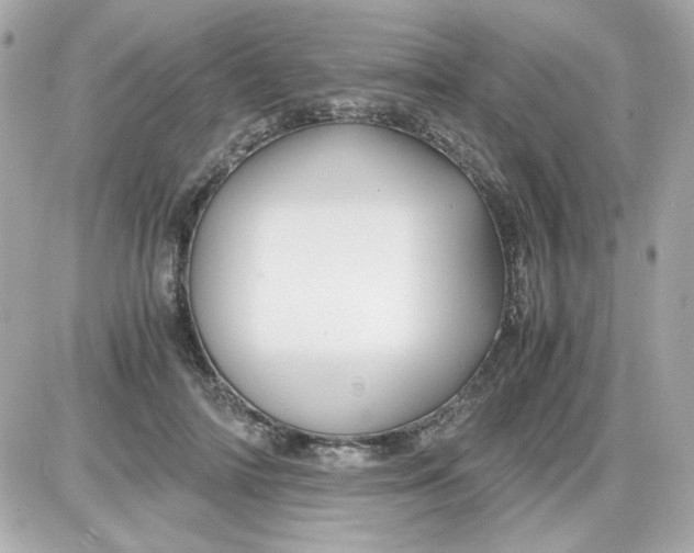 X0000087520698200705112006