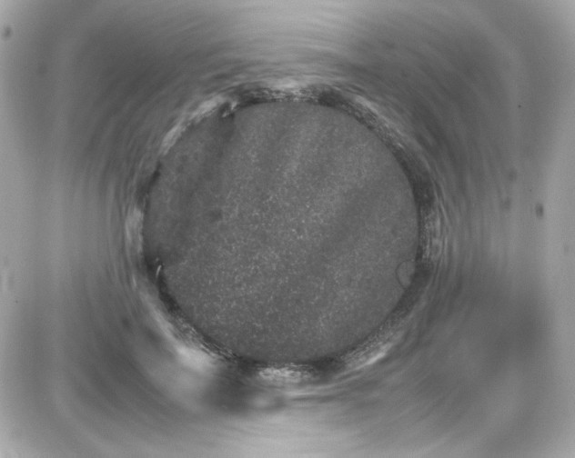 X0000087520699200705112006