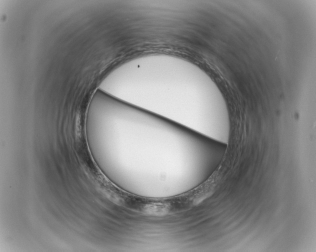 X0000087520700200705112006