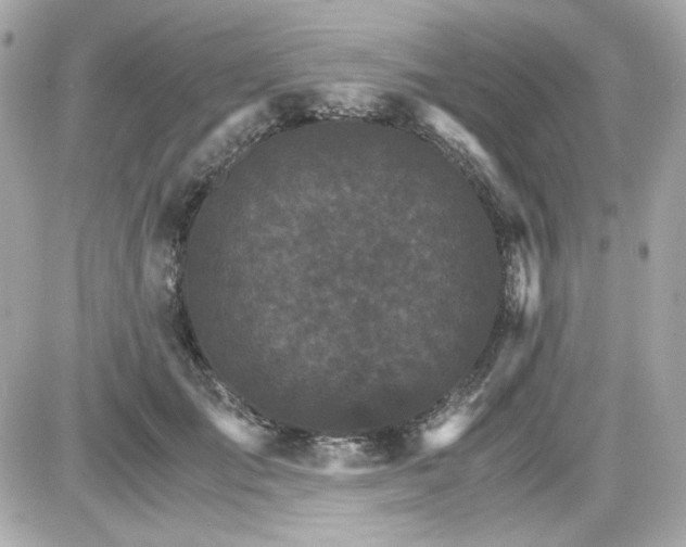 X0000087520701200705112006