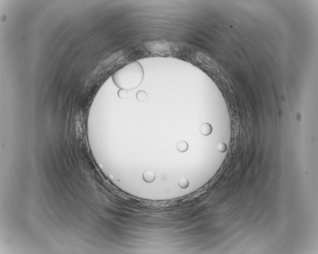 X0000087520702200705112006