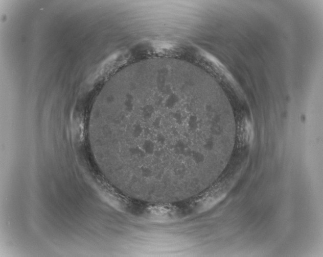 X0000087520703200705112006