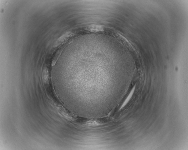 X0000087520704200705112006