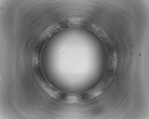 X0000087520706200705112006