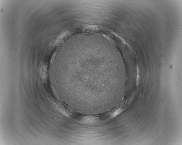 X0000087520708200705112006