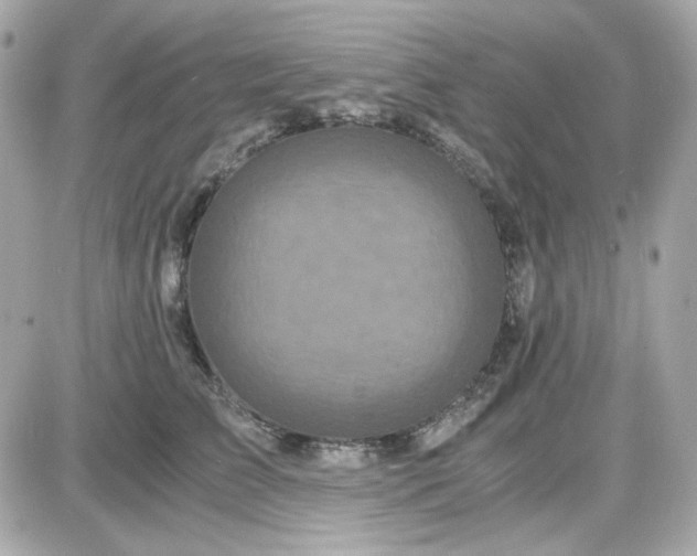 X0000087520709200705112006