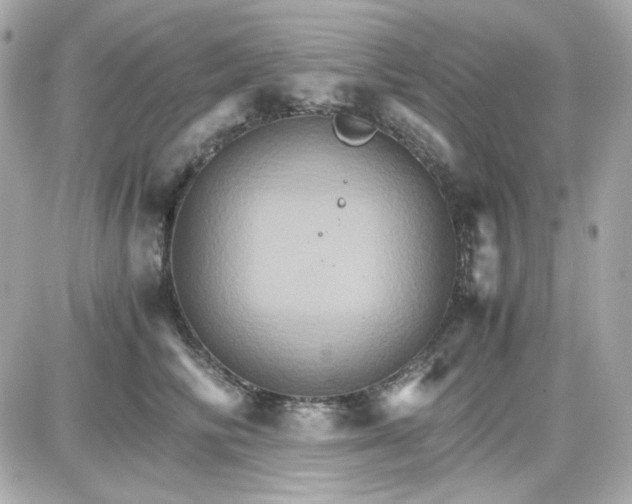 X0000087520710200705112006