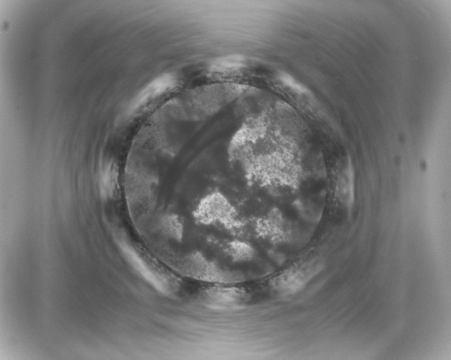 X0000087520711200705112006