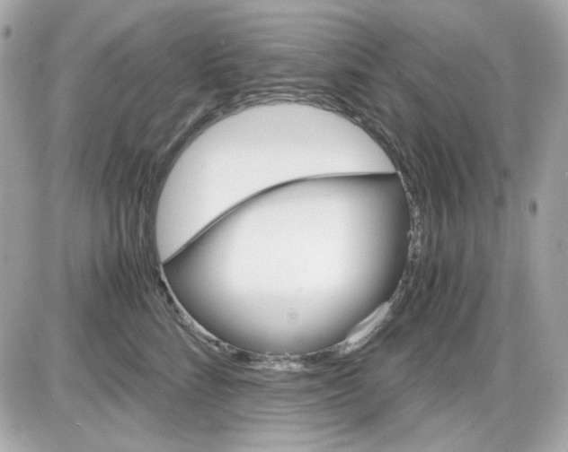 X0000087520712200705112006