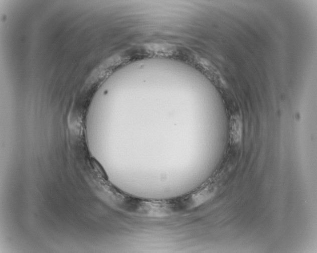 X0000087520713200705112006