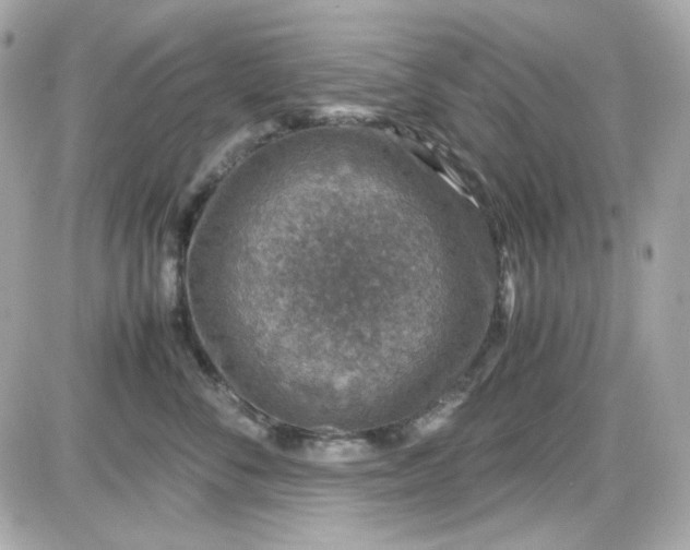 X0000087520716200705112006