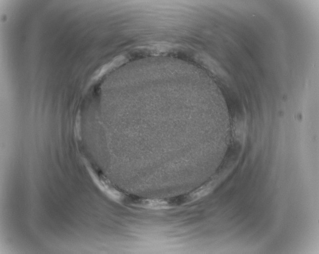 X0000087520719200705112006