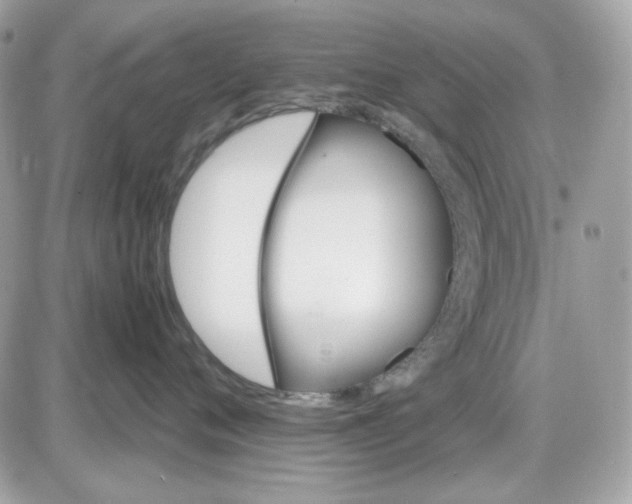 X0000087520720200705112006