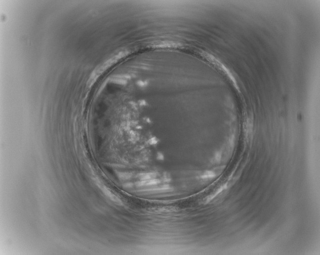 X0000087520721200705112005