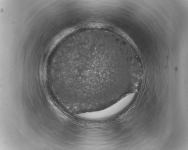 X0000087520722200705112005