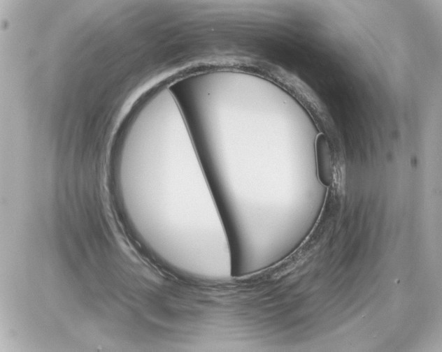 X0000087520724200705112005